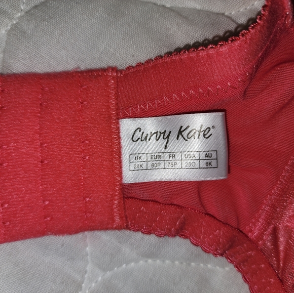 NWT Curvy Kate UK 28K US 28O PORTIA RIBBON BRA WATERMELON PLUM - Picture 3 of 5